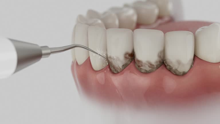 Reliable Dental contractor in Eastport, ME by Dentist Open Now